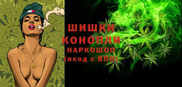 шишки Алзамай