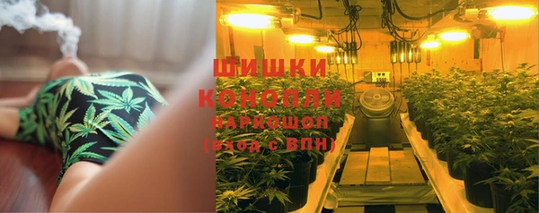 шишки Алзамай